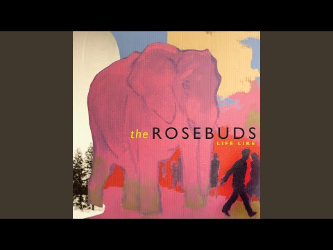 Nice Fox - The Rosebuds