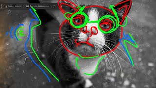 Scribble Animation On Photoshop With Onion Skin Effect