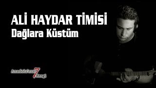 Ali Haydar Timisi - Dağlara Küstüm Ali (Canlı Performans) Resimi