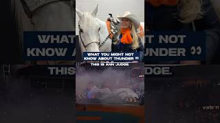 Thunder wears earplugs? 🤯 #broncos #mascot #horse #bts #nfl #denver