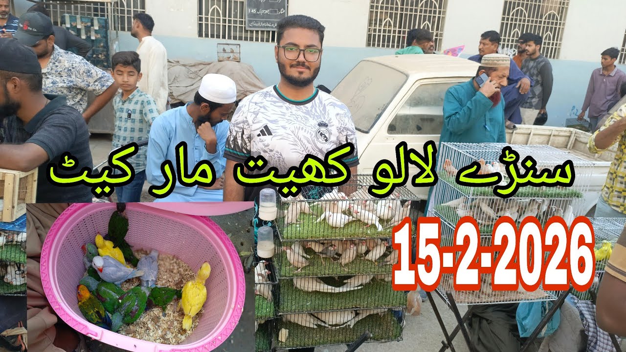 Sunday Lalukhet Market Farhan Birds YouTube Channel. 
