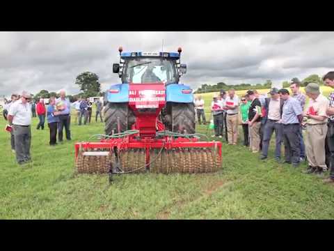 DLF ProNitro for Overseeding in Ireland