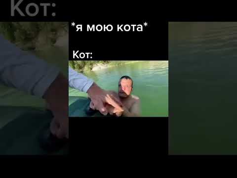 #рекомендации #сус #креосан #камрад @kamradrad