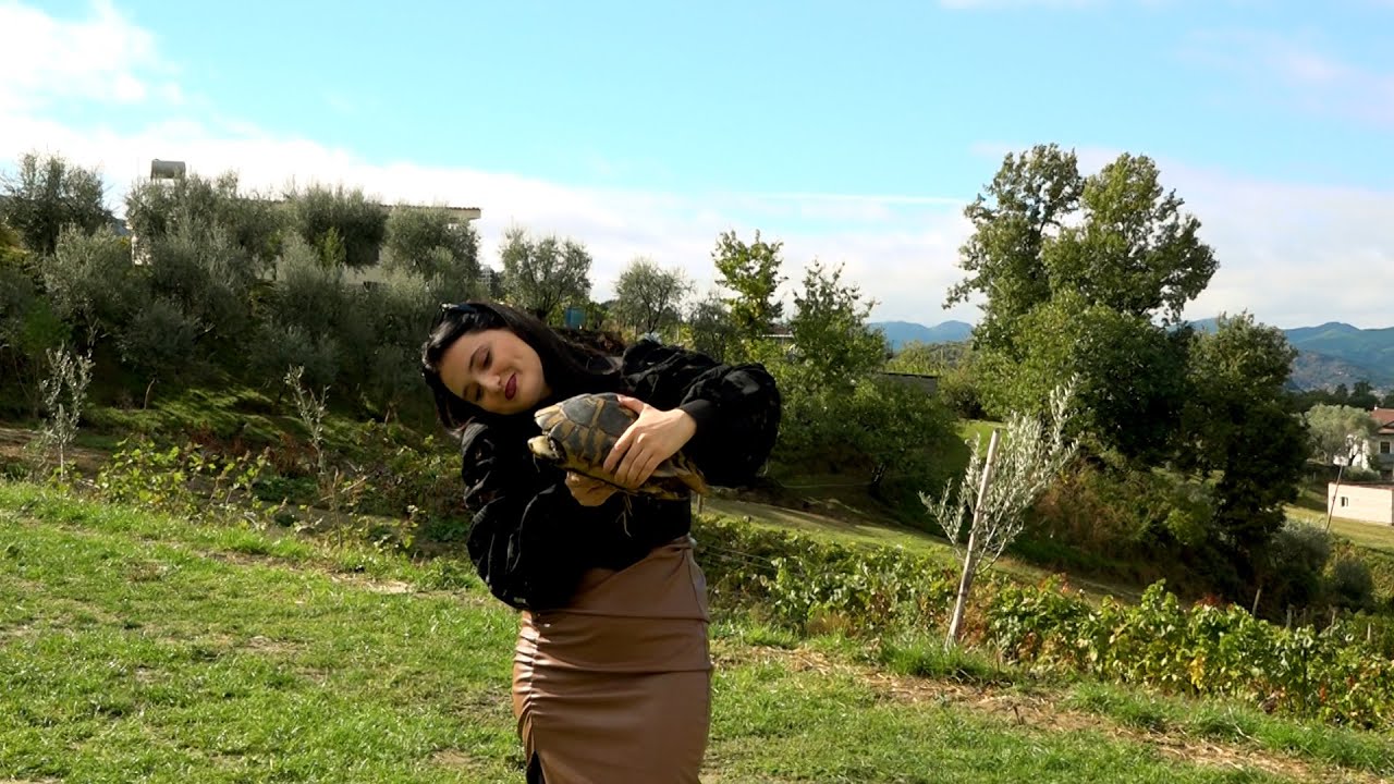 Në Fermën e Breshkave tashmë jeton Breshka më e madhe në Shqipëri...