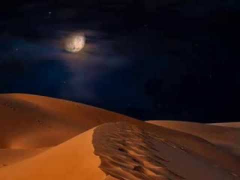 ابوعسكر طبيب الجراحه غير دكتور لعظامي