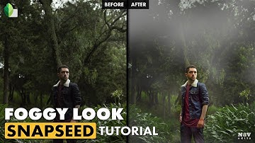 Create Foggy Look with Double Exposure in Snapseed | Android | iPhone
