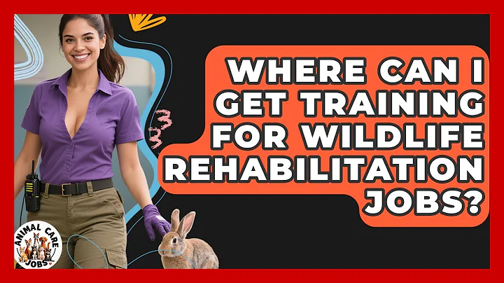 Where Can I Get Training for Wildlife Rehabilitation Jobs? - Animal Care Jobs