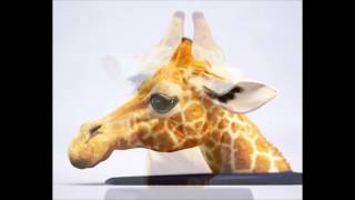 Giraffe 3D model | Animals Mammal 3D model | max, 3ds, obj, c4d, lwo
