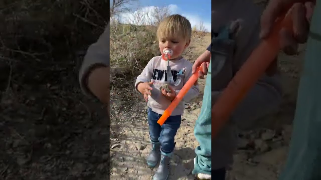 2020-04-04: Elliot and Max throwing Rocks in the Water near the house