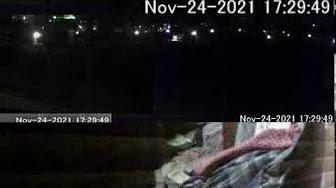 Pt3 集団ストーカー被害者 Pt3 集団ストーカー被害者