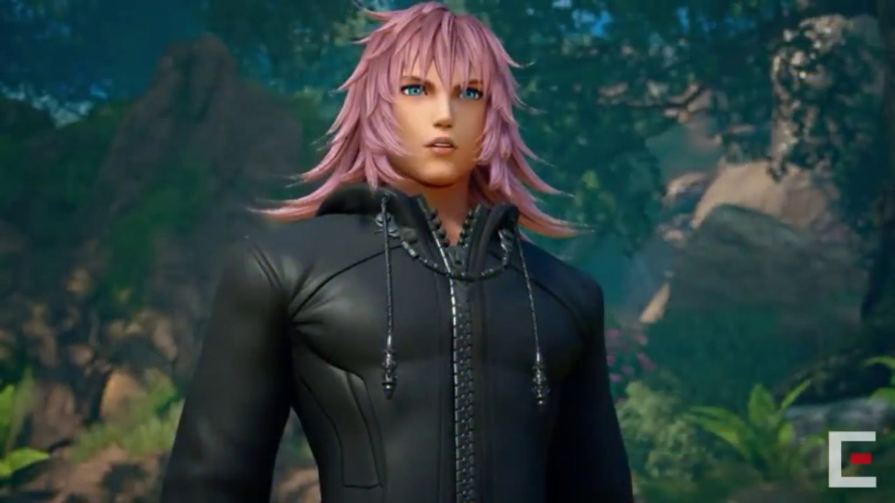 Bildergebnis fÃ¼r marluxia kingdom hearts 3