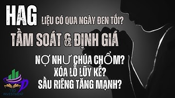 HAG - Tầm soát và định giá cổ phiếu - Phần 1 _TSD investment