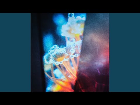 Joris Voorn & Jan Blomqvist - Flora