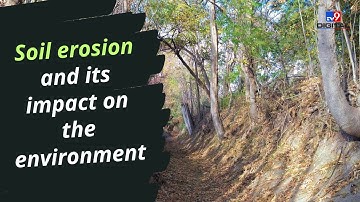 Soil Erosion and Its Impact on the Nature | TV9 Digital