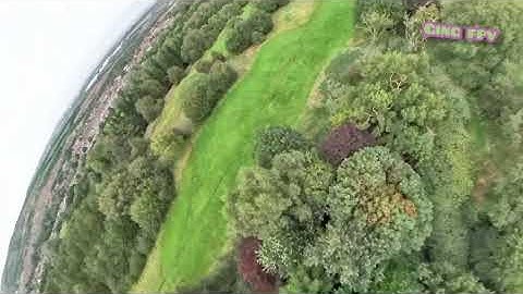 tbs source 1 v3 7 inch dead cat