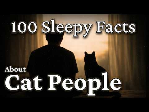 100 Sleepy Facts About Being a Cat Person | Cats for Sleep