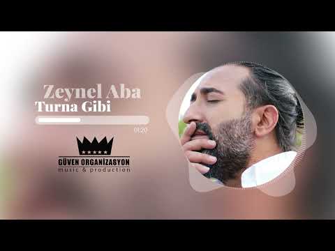 Zeynel Aba - Turna Gibi