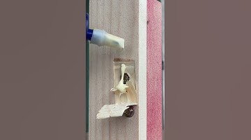 DIY Tips – A Simple Way to Hide Screws in Wood #woodworking #short