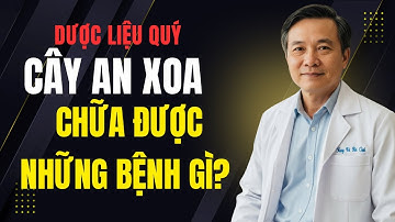 Dược Liệu Quý: Cây Ăn Xoa Chữa Được Những Bệnh Gì?