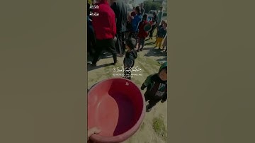 ويطعمون الطعام على حبه / القارئ ابراهيم شرف