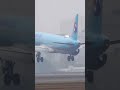 FOGGY LANDING 대한항공 에어버스 A321neo 안개 속 착륙 Korean Airlines Airbus A321-272NX HL8505 #비행기