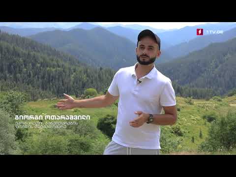 სიუჟეტი I არხზე პატარა წერეთის შესახებ