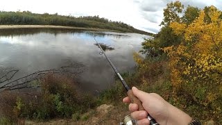 видео Особые места ловли — коряжник