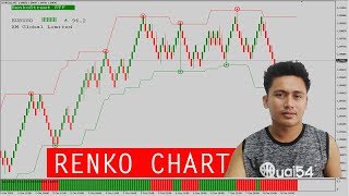 How to Download and Use Renko Chart EA (Renko Street Indicator) screenshot 2