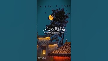 #قران_كريم #اكسبلور #elmulquranعلم #تلاوة_خاشعة #المصحف #راحة_نفسية