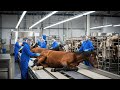 Inside The Horse Leather Factory Is Horse Skin REALLY Worth The High Price Tag Full Process 