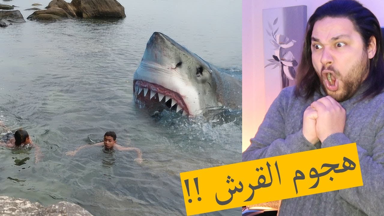 أقوى هجمات القرش المخيفة التي تعرض لها البشر ..!!