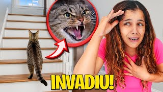 Ele Invadiu A Minha Casa E Não Quer Ir Embora