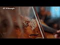 We Only Use High-Quality & Modern-day Music for Client Advertisements.