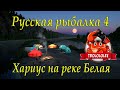 Русская рыбалка 4. Хариус . Река Белая.