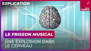 Le frisson musical, une explosion dans le cerveau  CulturePrime