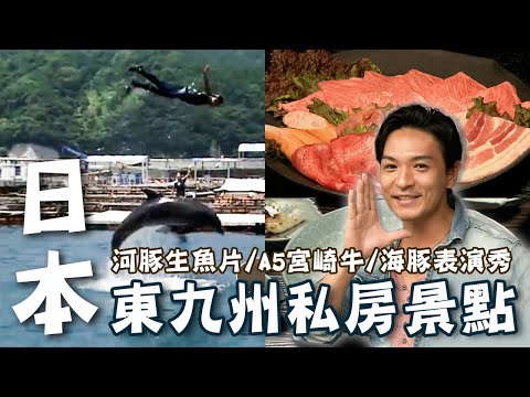 〔2023最新〕日本東九州私房景點推薦｜海豚表演秀/青島神社/A5宮崎牛/河豚生魚片【#夢多玩東九州】#日本 #九州