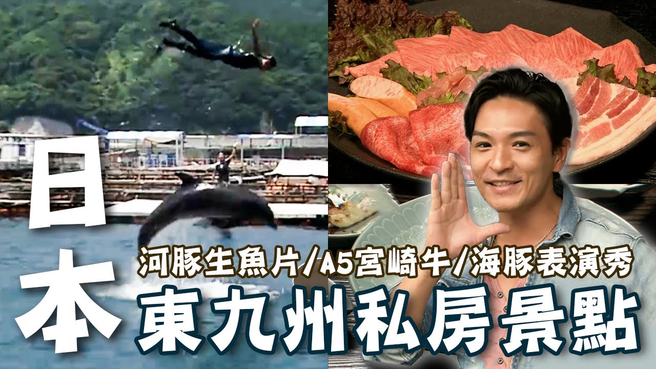 〔2023最新〕日本東九州私房景點推薦｜海豚表演秀/青島神社/A5宮崎牛/河豚生魚片【#夢多玩東九州】#日本 #九州