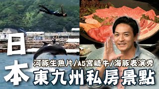 〔2023最新〕日本東九州私房景點推薦｜海豚表演秀/青島神社/A5宮崎牛/河豚生魚片【#夢多玩東九州】#日本 #九州