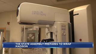 Wisconsin Democrats push women’s health bills as Assembly nears final day