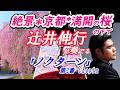 ★絶景・京都の満開の桜の下*辻井伸行が奏でる(chopin』ノクターン第2番