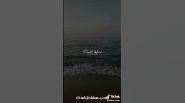 تلاوة هادئة سورة الغاشية |بصوت الشيخ عبدالرحمن مسعد تلاوة تريح القلب