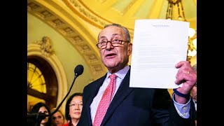 Did Cernovich Forge Schumer Sexual Harassment Document?