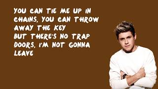 Illusion - One Direction (Lyrics)