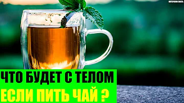 Что будет с Вашим телом если пить чай каждый день?