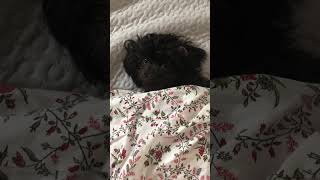 IMG 2696