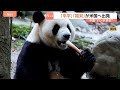 中国“パンダ外交”　オス「平平」とメス「福双」がアメリカへ出発　ジョージア州アトランタ動物園に10年間貸与｜TBS NEWS DIG