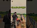 မလိုအပ်တော့လို့တဲ့