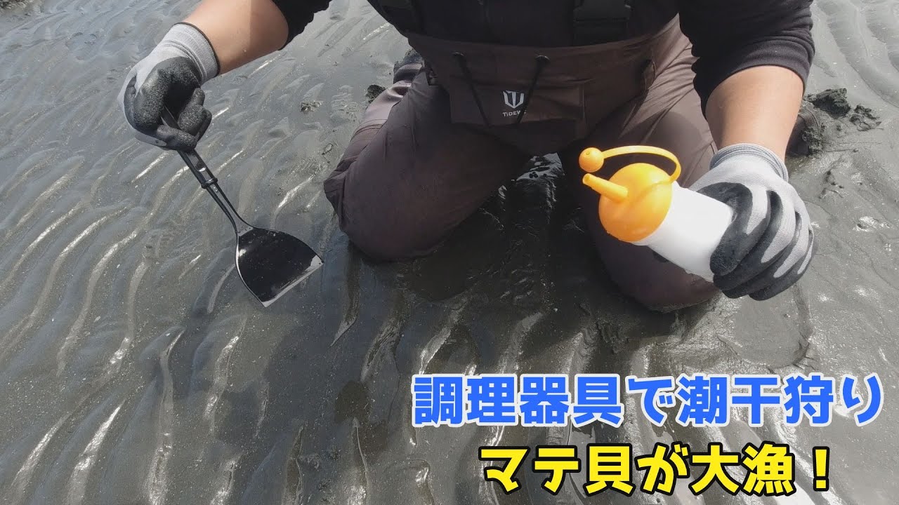 調理器具で潮干狩り マテ貝が大漁 Youtube