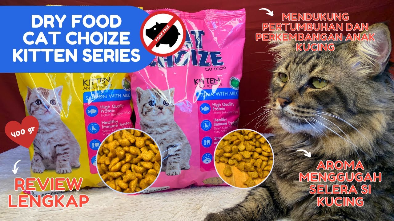 Review Dry Food Cat Choize Kitten All Series NO PORK! Radio Kucing