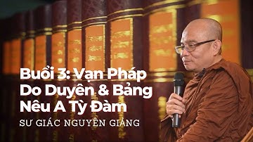 Buổi 3: Giáo Lý Căn Bản - Vạn Pháp Do Duyên & Bảng Nêu A Tỳ Đàm - Sư Giác Nguyên (Toại Khanh) 2/1/24